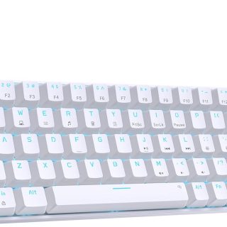 DIERYA T68SE 60% Gaming Mechanical Keyboard,Ultra Compact Mini 68 Key with Red Switches Wired Keyboard,Anti-Ghosting Keys, for Windows Laptops and PC Gamers,White